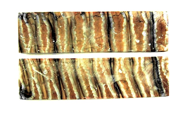 ナイフ用ハンドル材 323135 マンモスツース マンモスの歯の化石 10x32x120 (2枚1組)