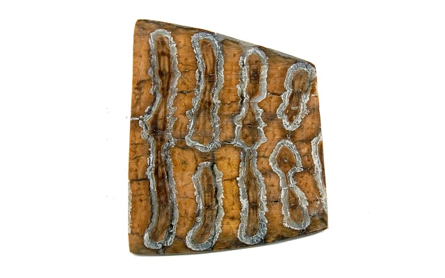 ナイフ用ハンドル材 323142 マンモスツース マンモスの歯の化石 10x65x60