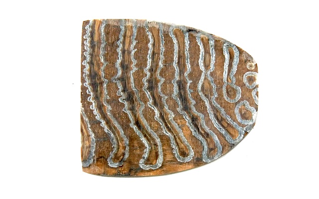 ナイフ用ハンドル材 323149 マンモスツース マンモスの歯の化石 11x65x75