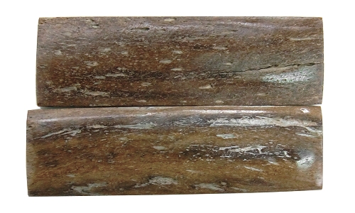 ナイフ用ハンドル材 323183 ヨーロッパバイソンホーンの化石 10x32x110(2枚1組)